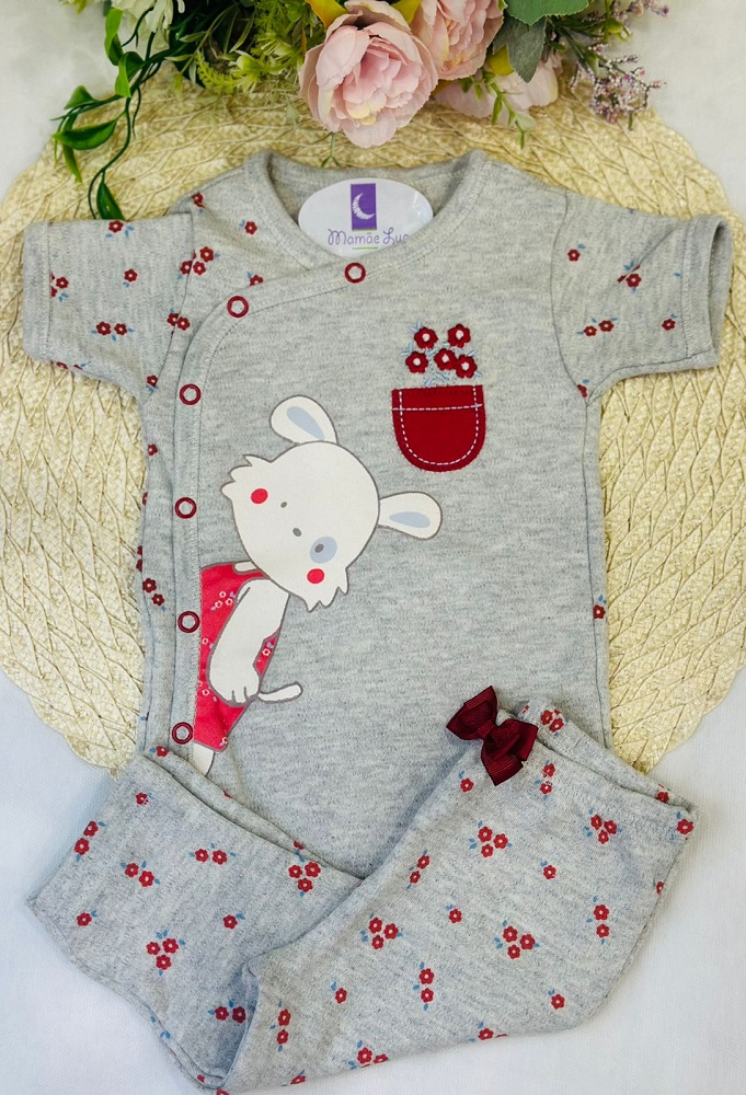Conjunto Bebê