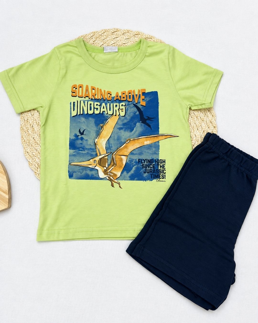 Conjunto Infantil Dinossauro Voador