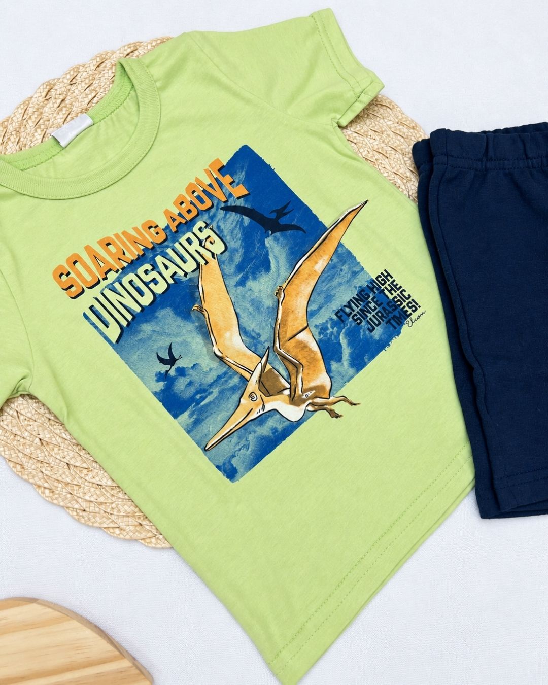 Conjunto Infantil Dinossauro Voador